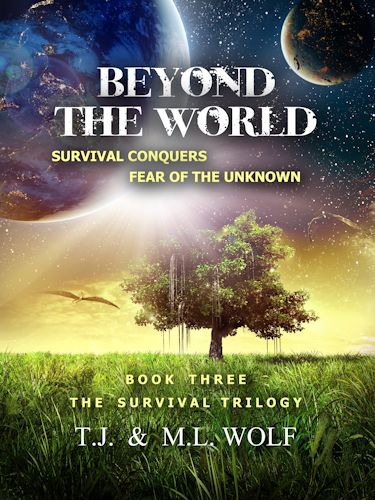 beyond-cover-website